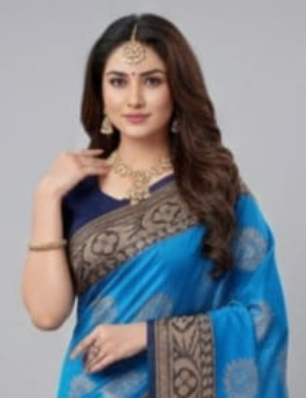 Royal Blue Cotton Silk Saree with Elegant Motifs & Contrast Border